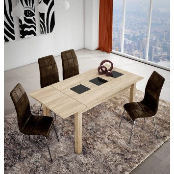 ARCE mesa cambrian extensible
