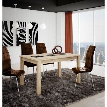 ARCE taula cambrian extensible 2